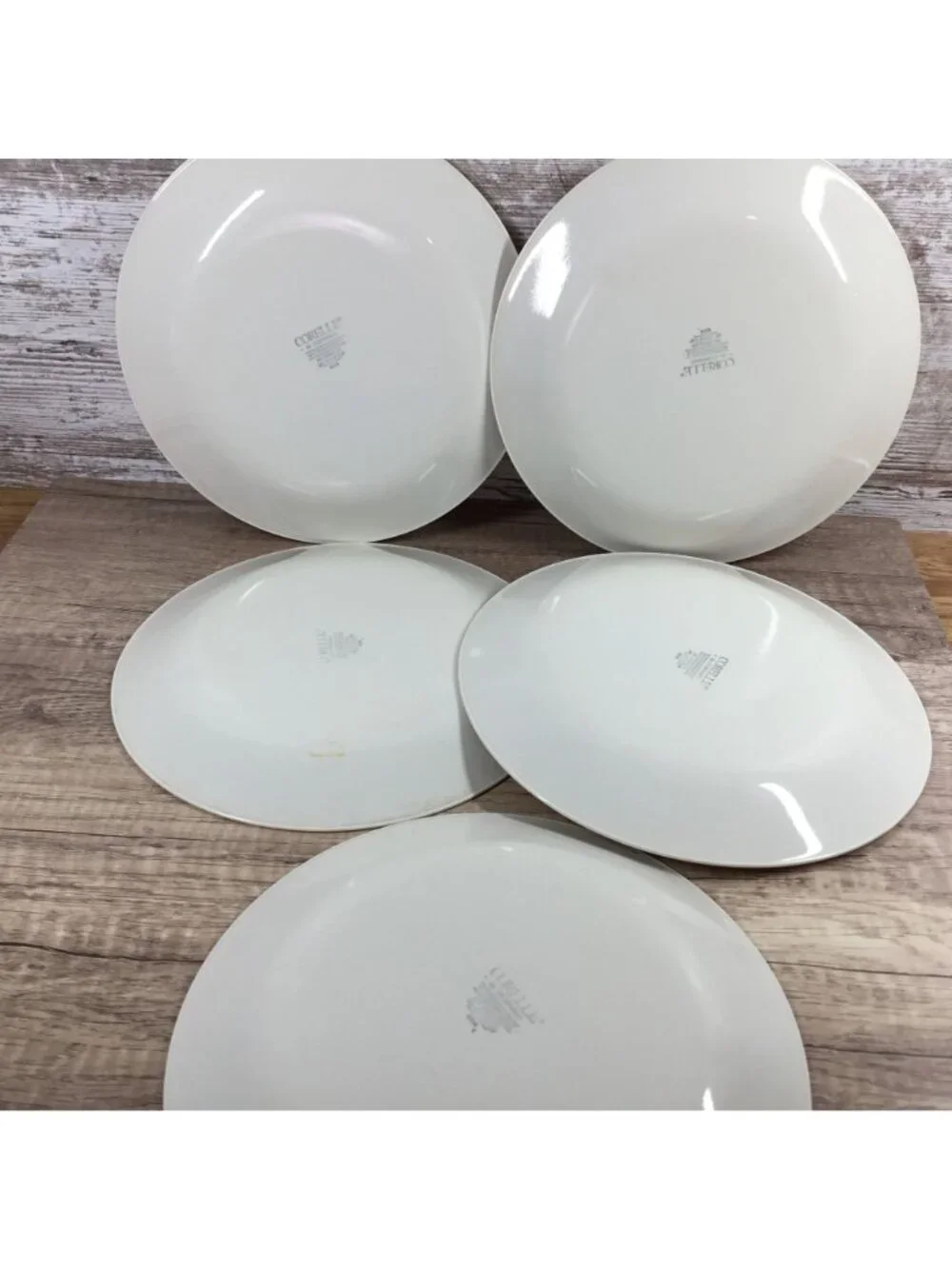 Set of 5 Corelle First Of Spring 10 1/4